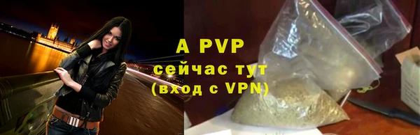 амф Кукмор