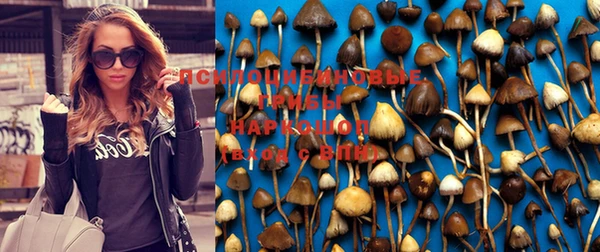 бошки Алзамай