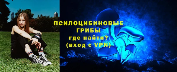 бошки Алзамай