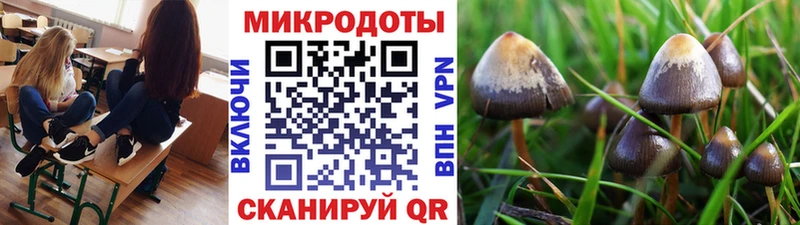 Галлюциногенные грибы MAGIC MUSHROOMS  Черноголовка 