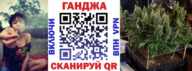 где можно купить   Черноголовка  Канабис план 